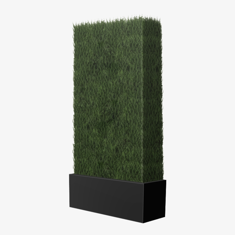 Heywood Cypress Wall, transparent png