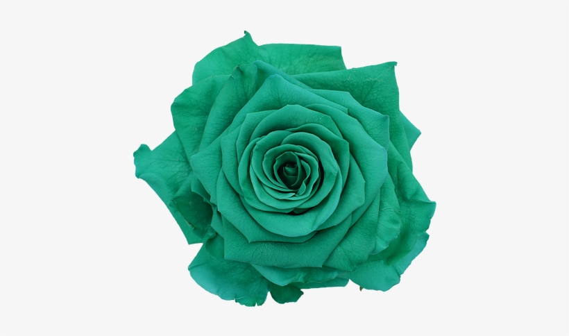 Prev - Green, transparent png