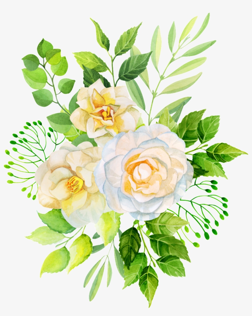Hand Painted Three Realistic Tea Flowers Png Transparent - Floribunda, transparent png