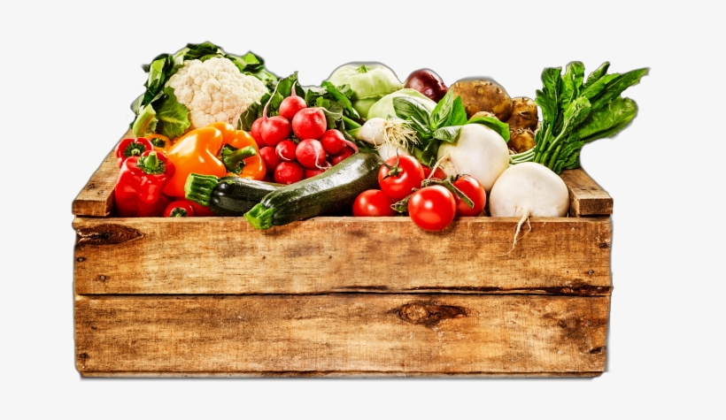 Plant-based Diet And Kidney Health - Veggie Delights Recipes For Holistic Health: Eating, transparent png