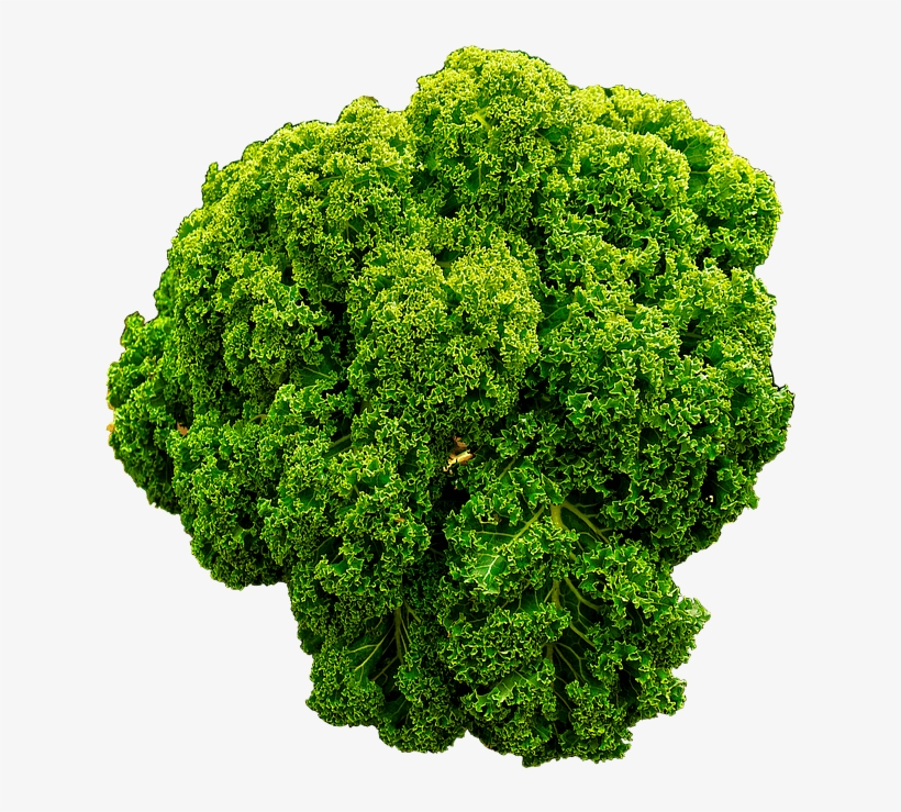 Img Class="img Responsive" Src="https - Curly Kale, transparent png