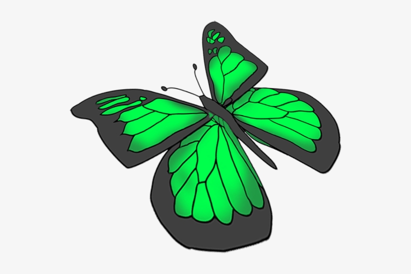 Purple Butterfly Drawing, Green Butterfly Drawing - Transparent Background Green Butterfly Clipart, transparent png