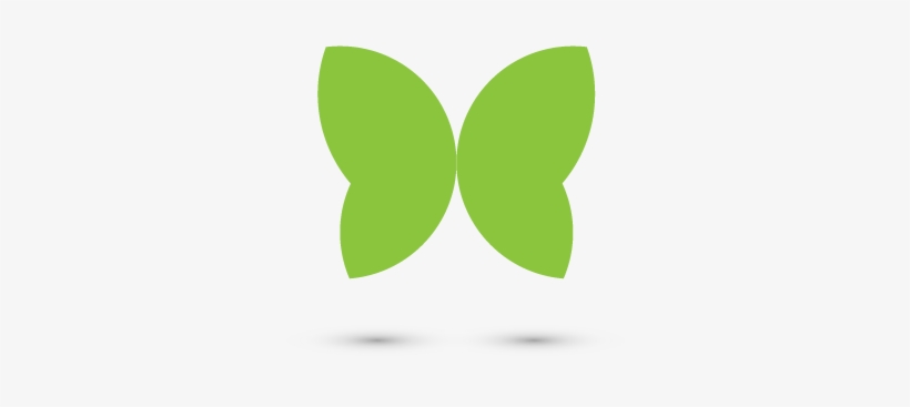 Butterfly - Identify A Butterfly, transparent png