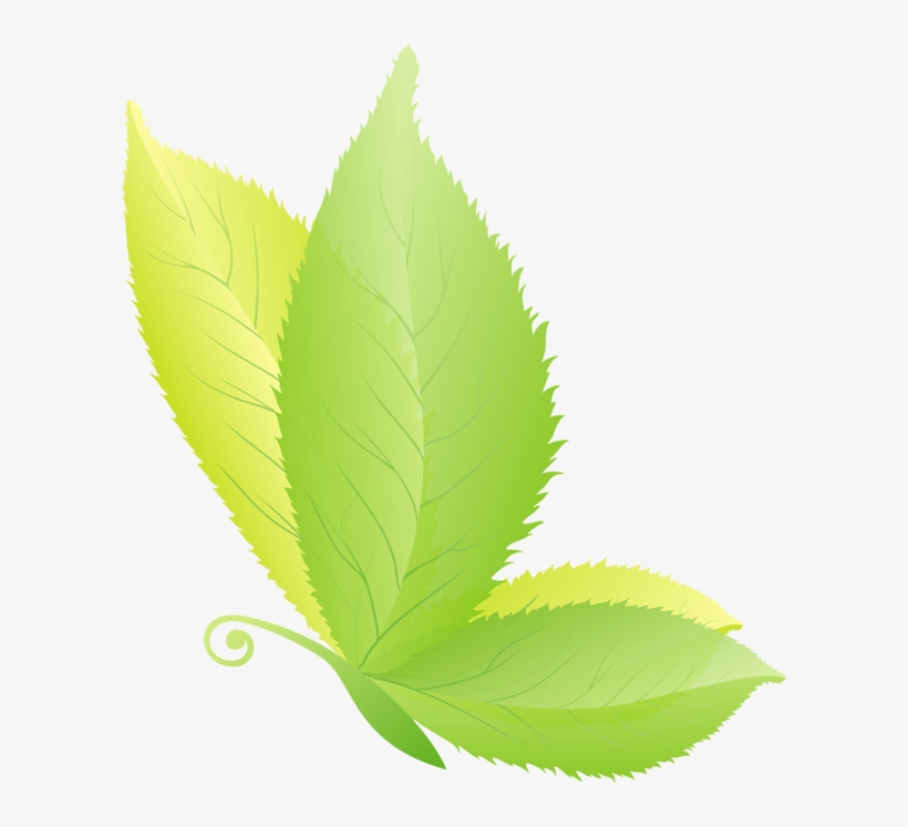 Products - Illustration, transparent png