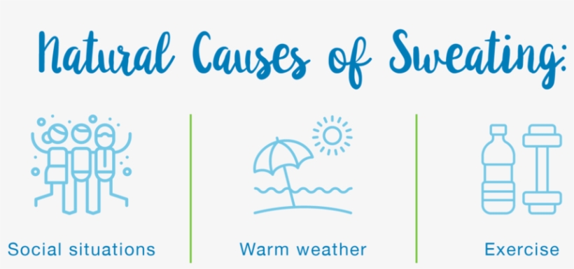 Natural Causes Of Sweating - Cupcake, transparent png