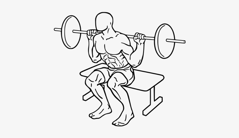 Box Squat - Squats Exercise, transparent png