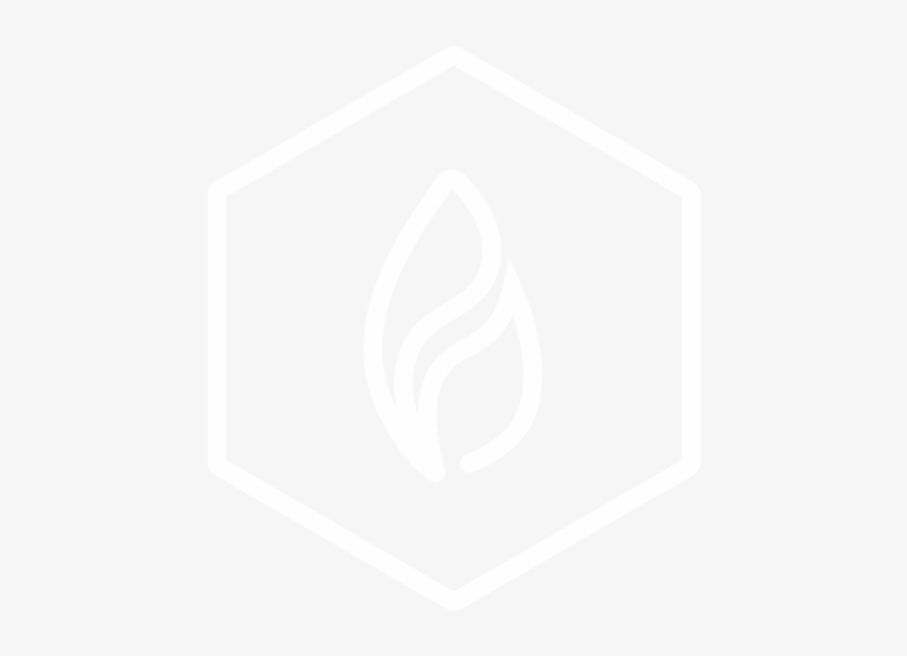 Ioladerm Logo - Neon Hexagon Png, transparent png