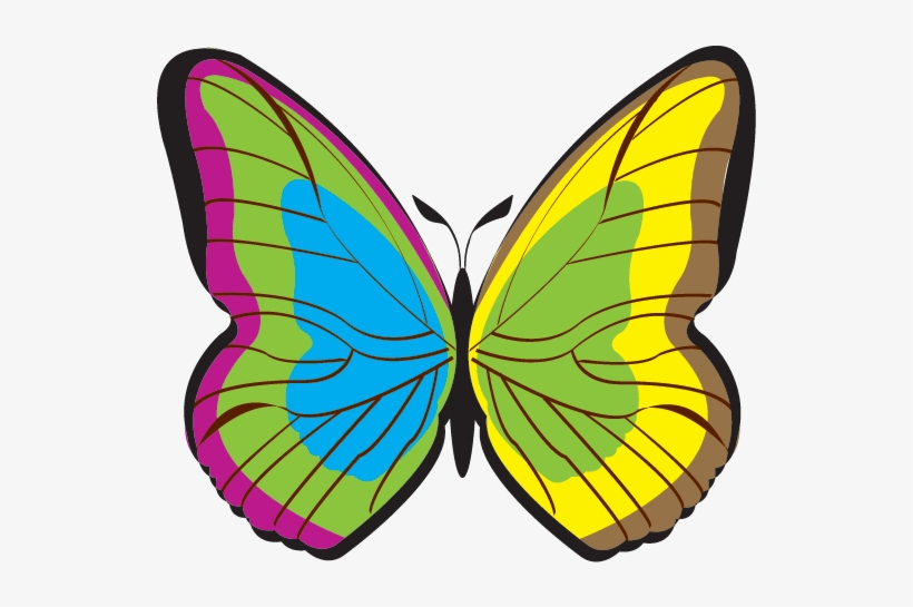 Butterfly - - Portable Network Graphics, transparent png
