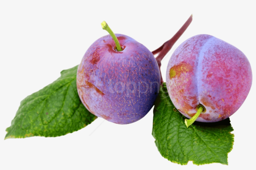 Download Plums Png Image - Portable Network Graphics, transparent png