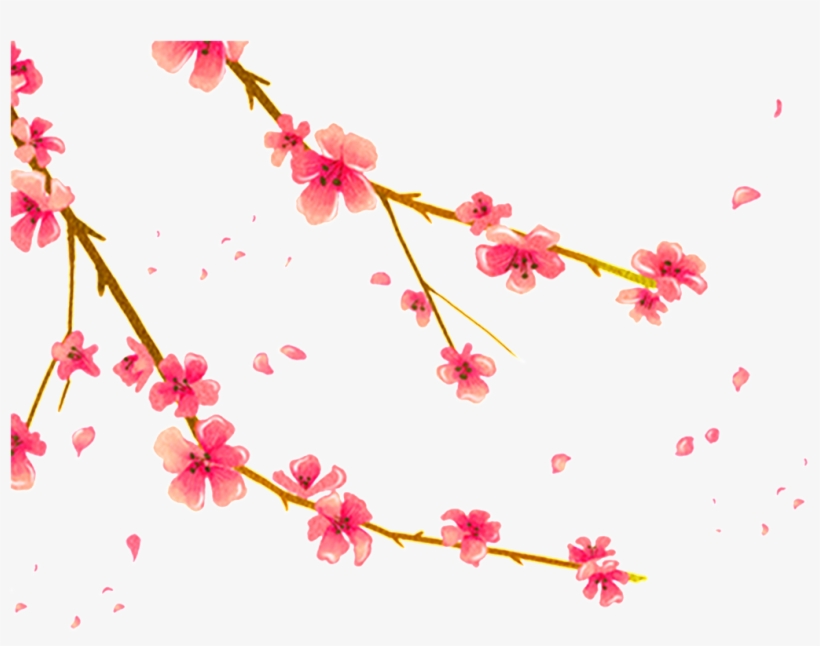 Hand Painted Plum Png - Background Spring Warm Png, transparent png