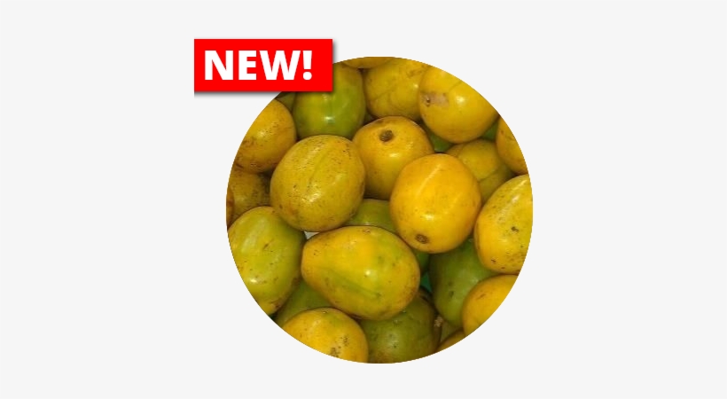 June Plum - West Indian Plum, transparent png