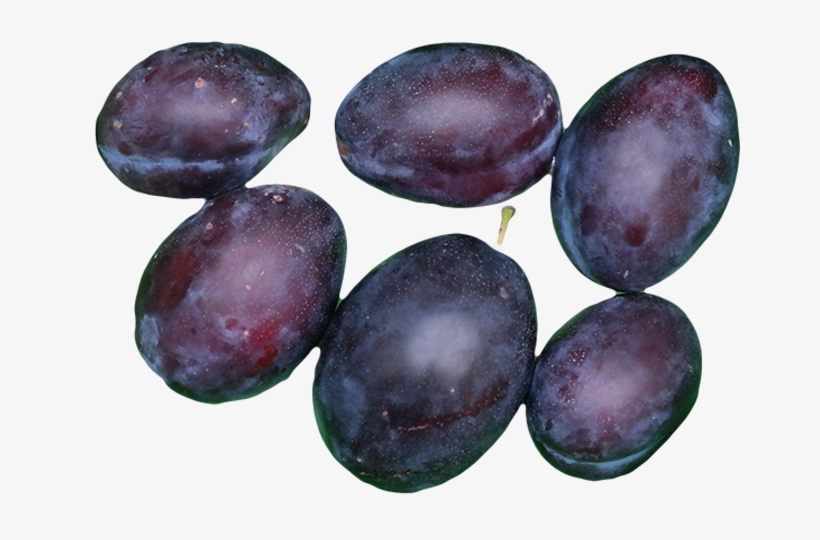 Plums - Different Species Of Plums, transparent png
