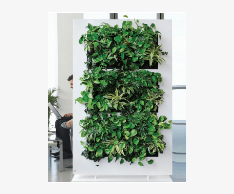 Previous Next - Live Picture Divider, transparent png