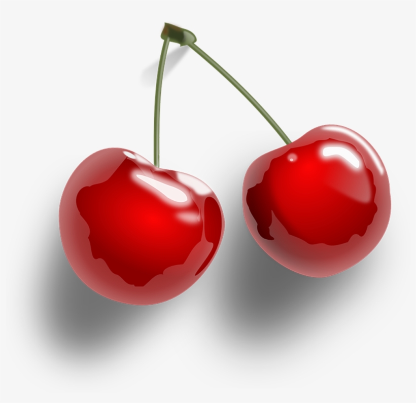Hand Painted Cherry Vector - Cherry Transparent, transparent png