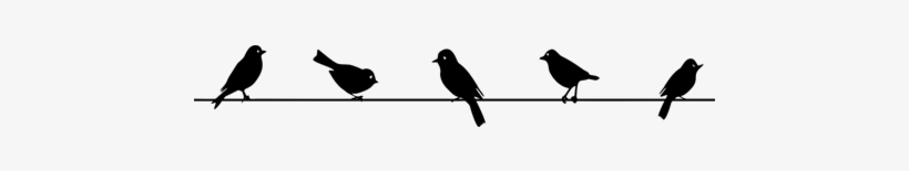 Vinilo Decorativo Silueta De Pájaros En Cables - Pajaros En Una Cuerda, transparent png
