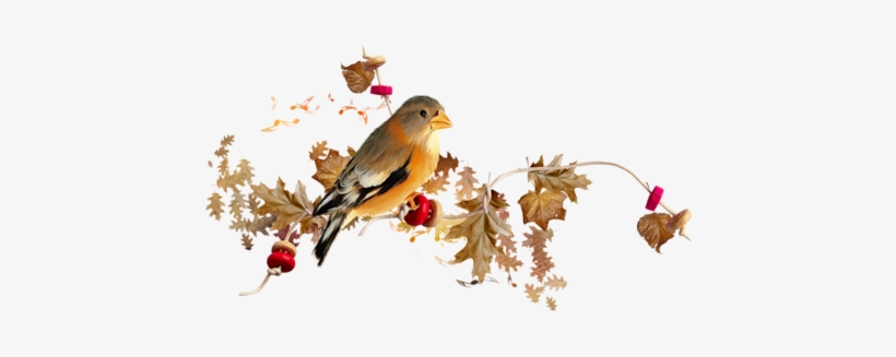 Pajaros Lineas - November Picmix, transparent png