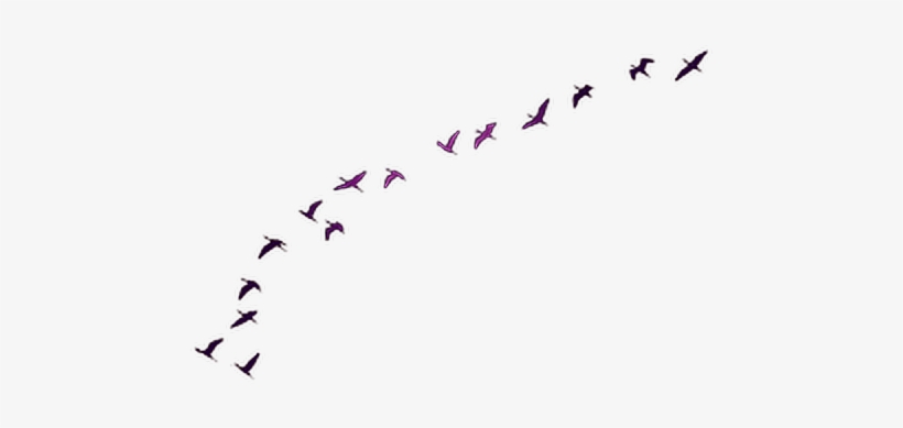 Report Abuse - Game Of Thrones Every Flight Begins, transparent png