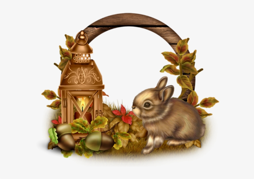 Cadre Png, Lapin - Rabbit, transparent png