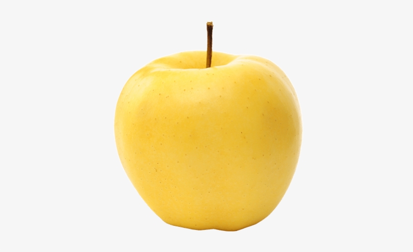 Project Description - Mindful Snacks, transparent png