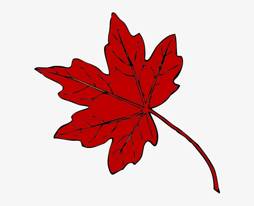 Red Maple Leaf Clipart, transparent png