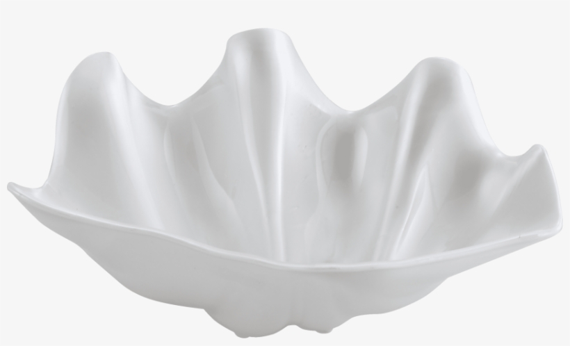 Free Png Conch Png Images Transparent - White, transparent png