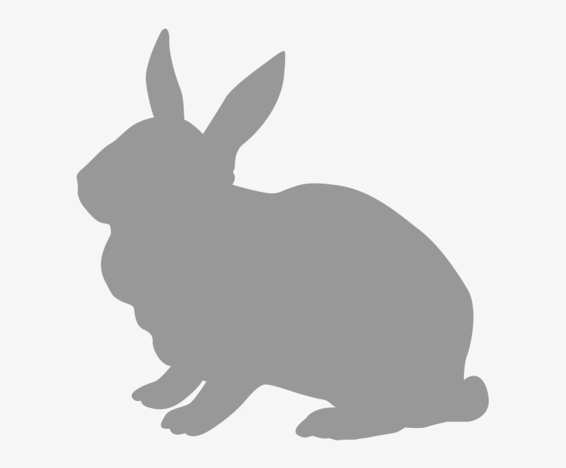 Rabbit - Domestic Rabbit, transparent png