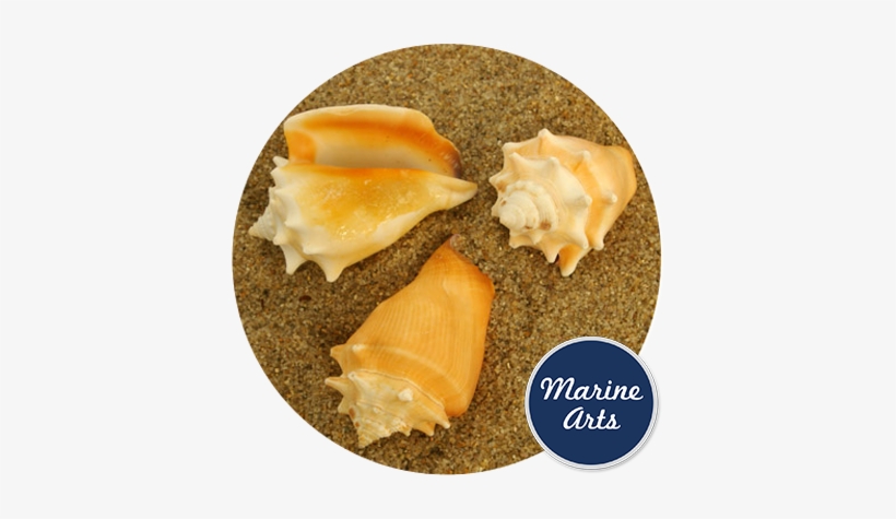 Chalkboard Class Of Graduation Gift Stickers, transparent png