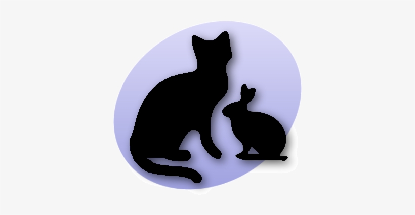 Rabbit&cat3 - Pet, transparent png