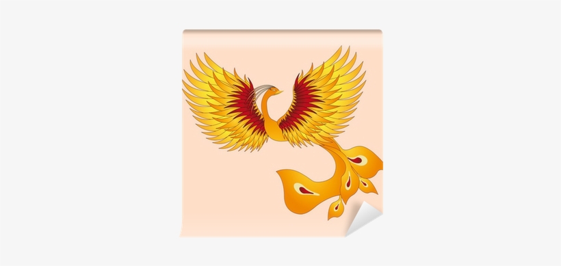 Phoenix, transparent png