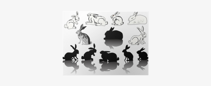 Twelve Hare And Rabbit Silhouettes On White Poster - Leporids, transparent png