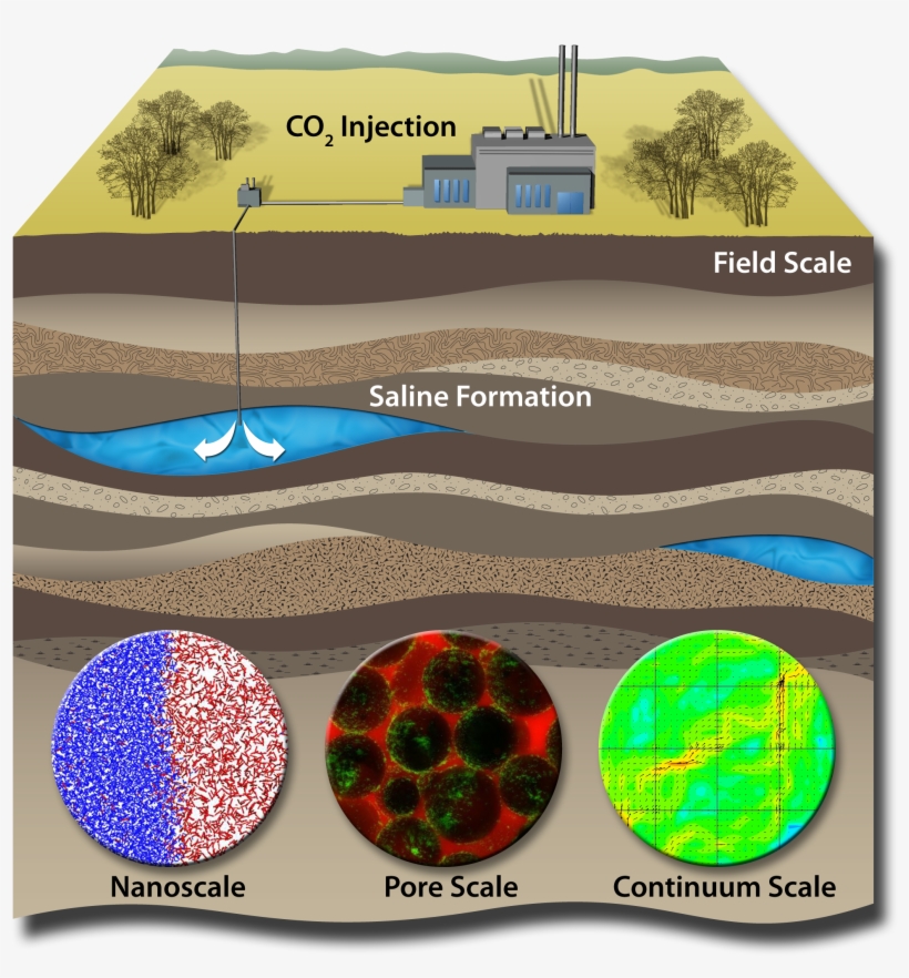 Carbon Sequestration Research Continues At Sandia Labs - Physical Carbon Sequestration, transparent png