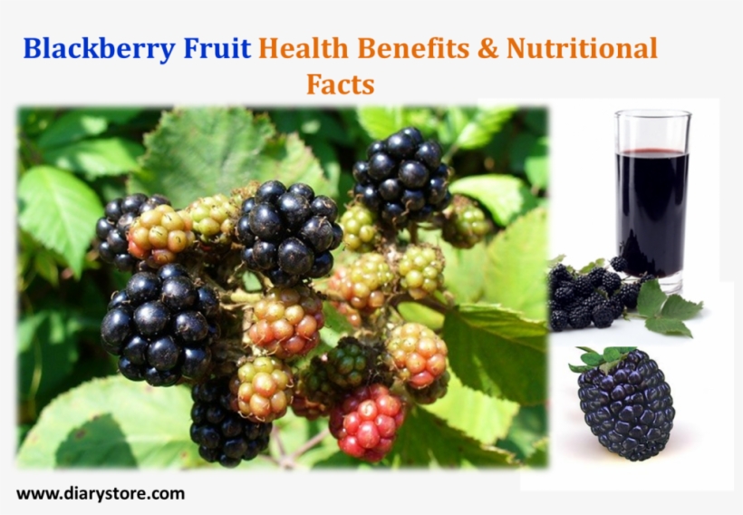 Blackberry Fruit, transparent png