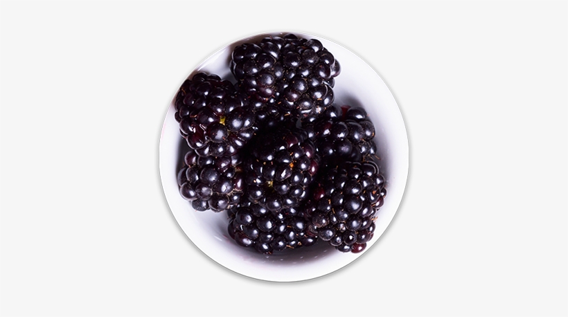 Blackberries - Blackberry, transparent png