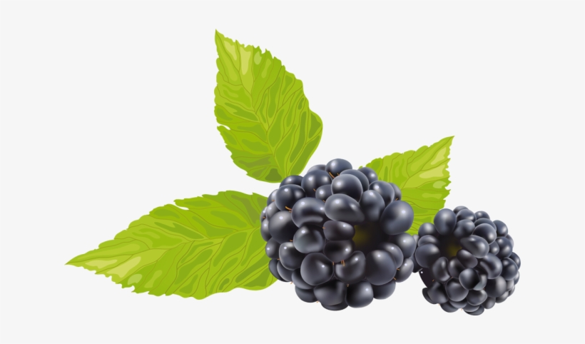 Information And Clip Art About Blackberry Winter - Hollywood Style Whitening Peel Off Mask - Professional, transparent png
