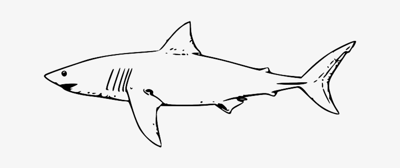Shark, Fish, Water, Black, Simple - Shark Drawing Black And White, transparent png