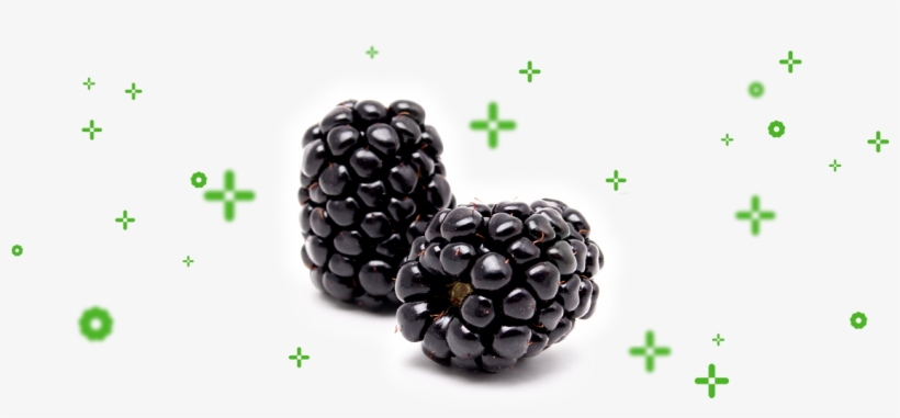 Our Philosophy Is Based On The Sole And Essential Objective - Blackberry, transparent png