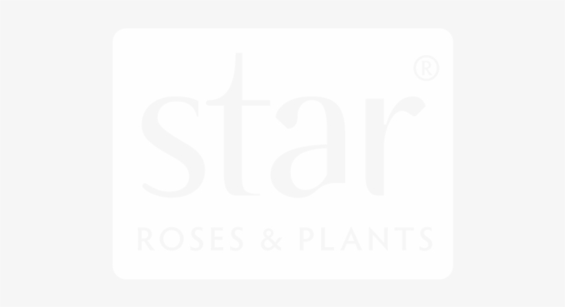 Srp Logo2 - Kolte Patil, Ivy Estate Sales Office, transparent png