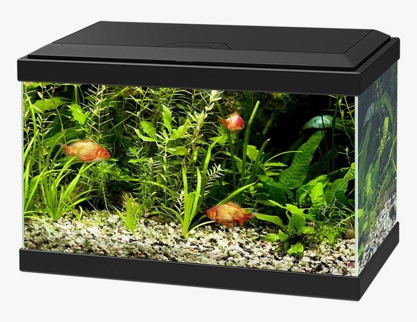 Ciano Aqua 20 Aquarium With L.e.d Light Black, transparent png