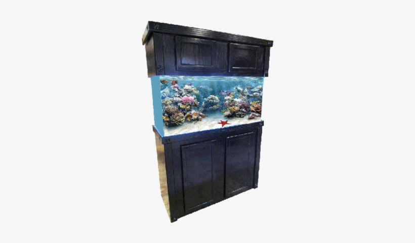 Tank R&j Stand Bk Oak Sig 48x18 {bin-2} Sd-x Free, transparent png