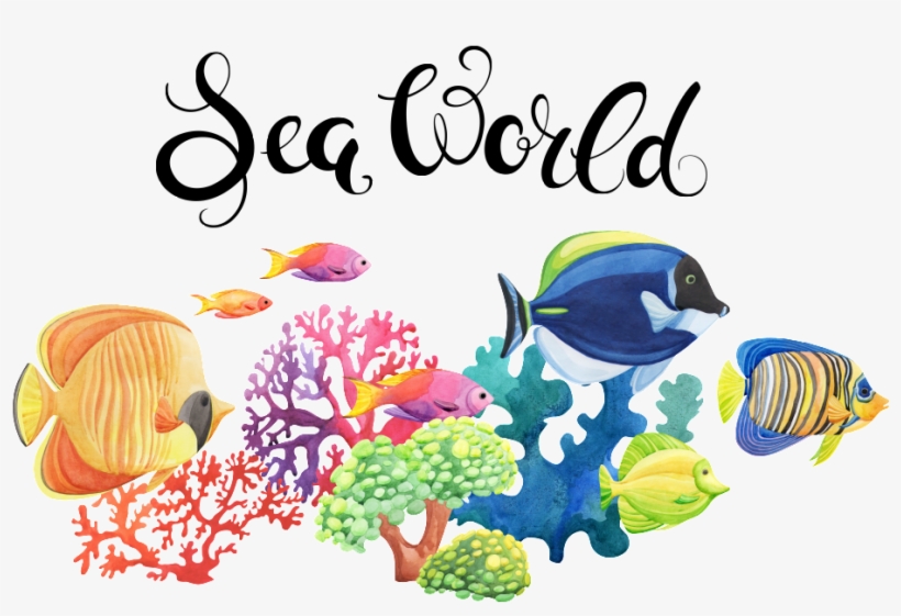 Hand Drawn Fish Tank In The World Png Transparent - Fish, transparent png