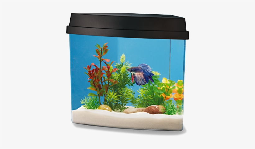 1 - 2 Gallon - National Geographic 2 Gallon Fish Tank, transparent png