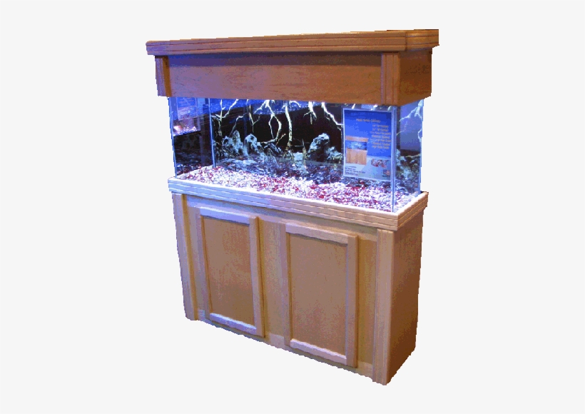 55 Gallon Fish Tank Stand In Maple - Aquarium, transparent png