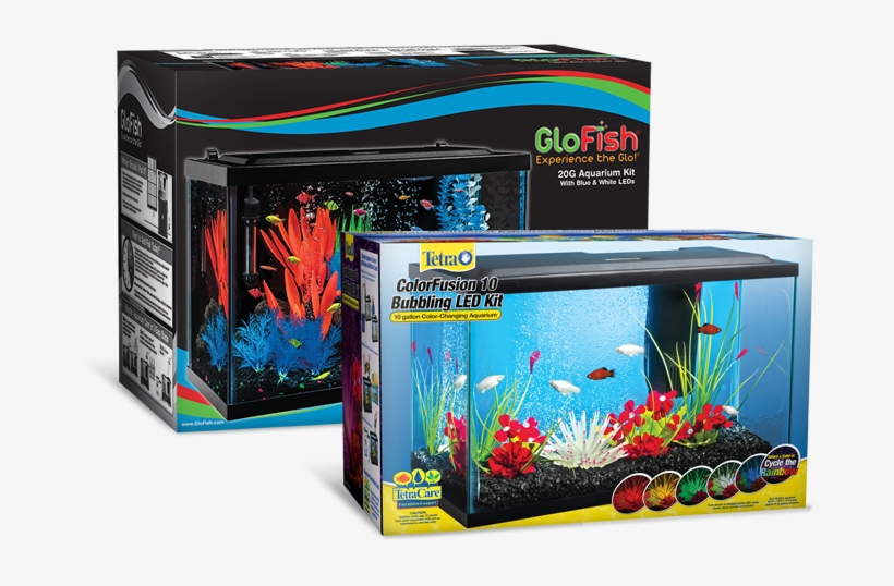 Aquarium Kits Make Setting Up Quick And Easy Also, - 60 Gallon Aquarium Setup Led, transparent png