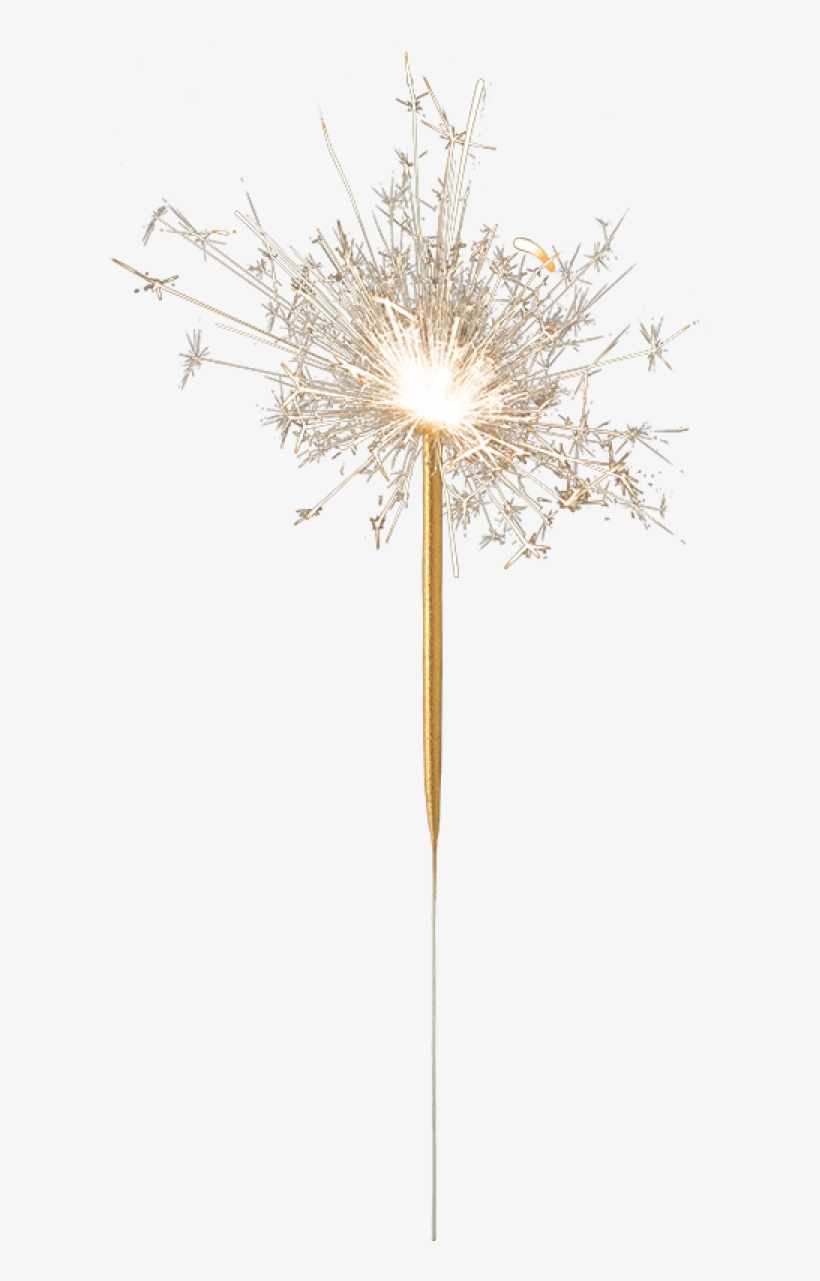 Vela Cometa Dourada - Dandelion, transparent png