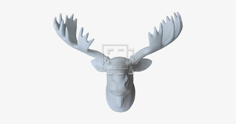 Moosehead Front View - Reindeer, transparent png