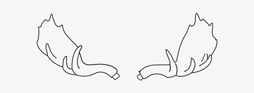 Fake Moose Antlers, How To Put Together Your White - Moose, transparent png