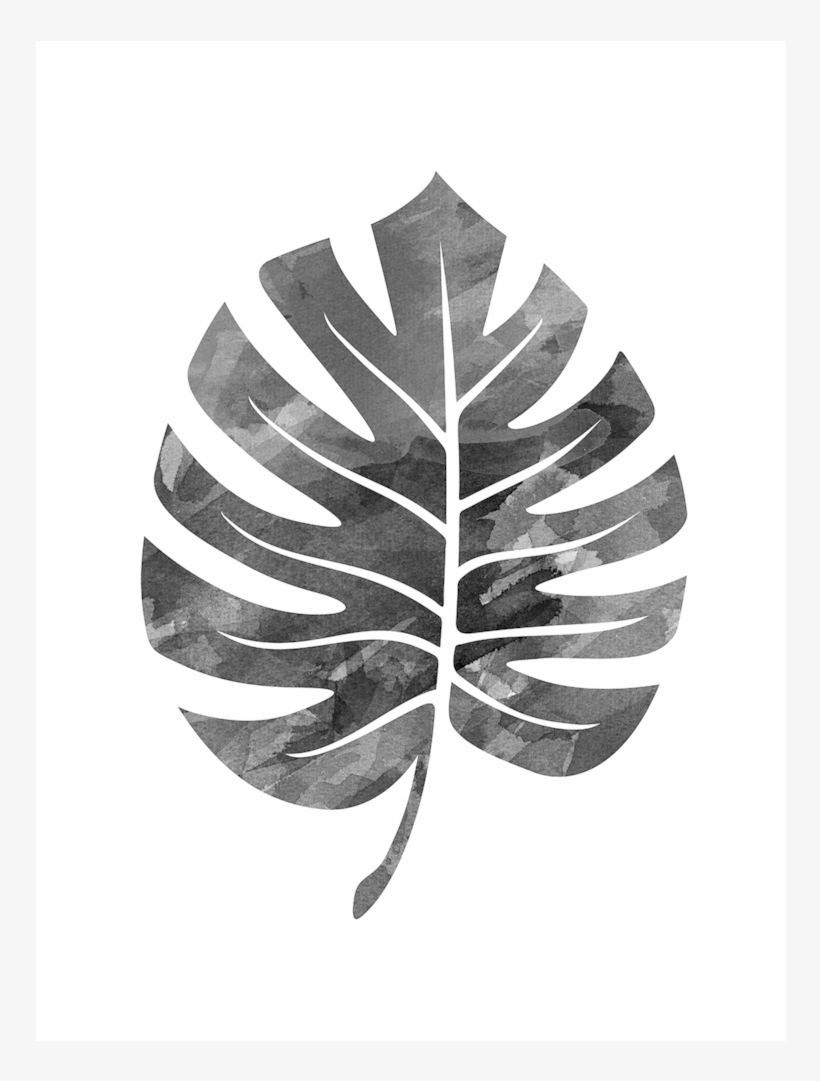 Monstera Leaf, transparent png