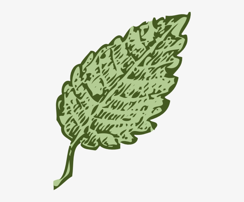 How To Set Use Single Leaf Clipart - Các Cây Lá Đơn, transparent png