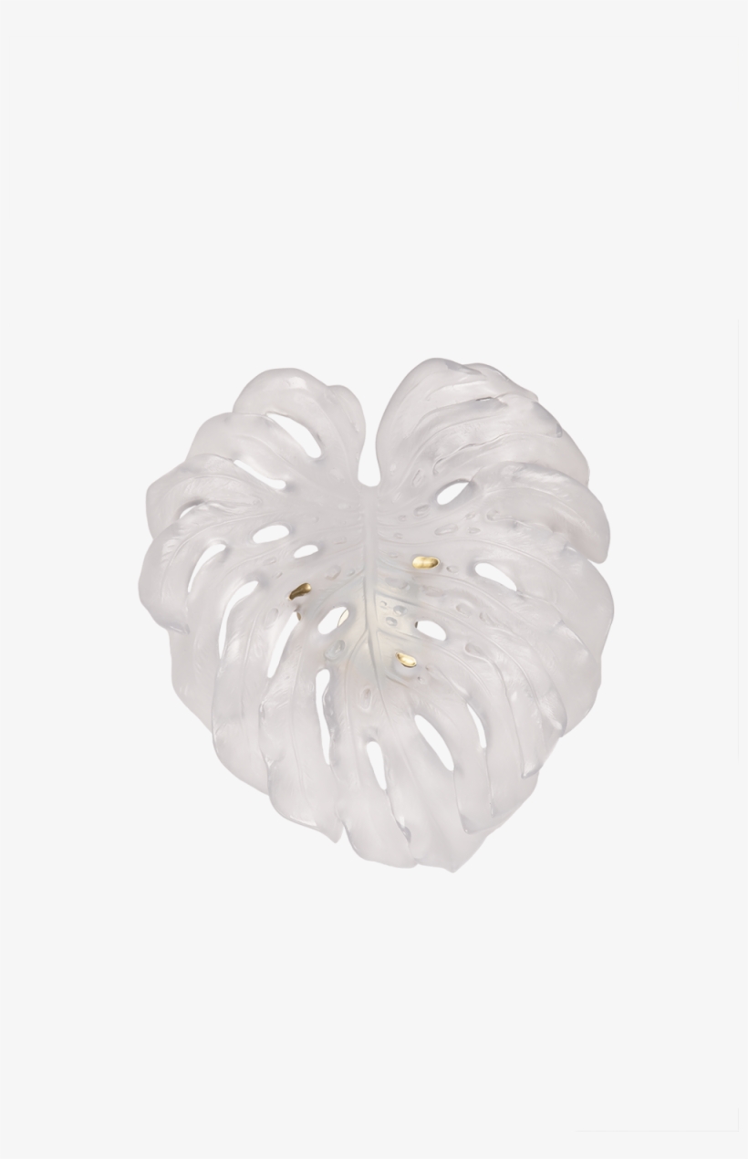 Monstera Small Wall Leaf, transparent png
