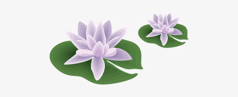 Planes De Ejercicios De Yoga Para Principiantes, transparent png